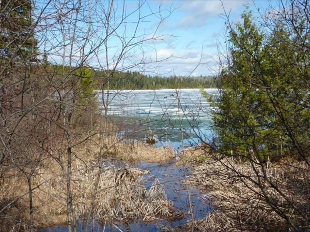 Paglamin Lake Property Longlac