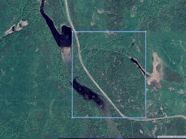 Black Sturgeon Property