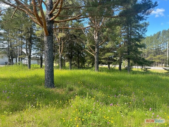 2085 15th Side Road 